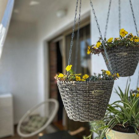 Apartmani Mia Palit Zewnętrze zdjęcie