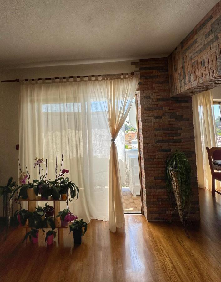 Apartmani Mia Palit Zewnętrze zdjęcie