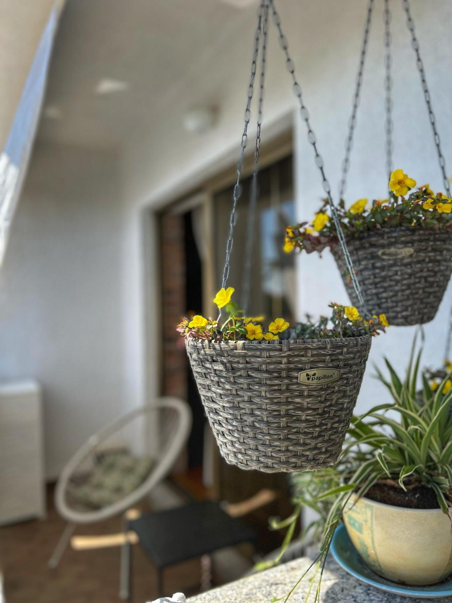 Apartmani Mia Palit Zewnętrze zdjęcie